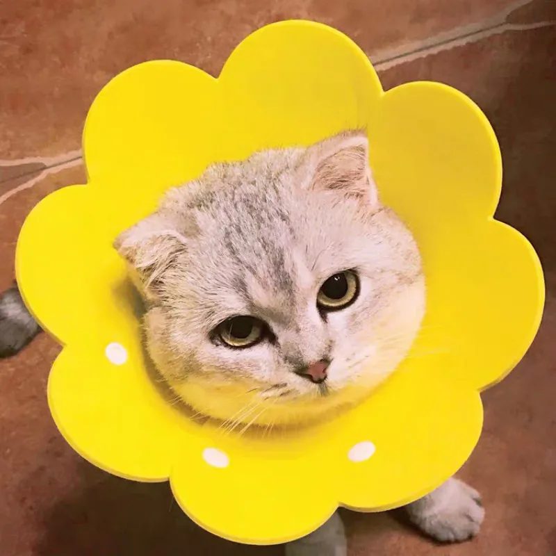 Cats Products For Pets Sun Slower EVA Sponge Light Cat Collar Cover Cat Products Neck Ring Anti-Licking Cat Collar Para Gatos Cats Products For Pets Sun Slower EVA Sponge Light Cat Collar Cover Cat Products Neck Ring Anti-Licking Cat Collar Para Gatos