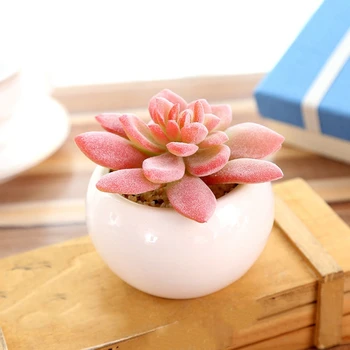 

NEW-Lovely Flower Pots Succulents Flower Pots Indoor Herb Mini Pot Plants Office Decoration Garden