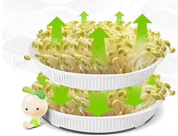 

Multifunctional Healthy DIY Bean Sprouts Cultivation Machine bean sprout growing machine