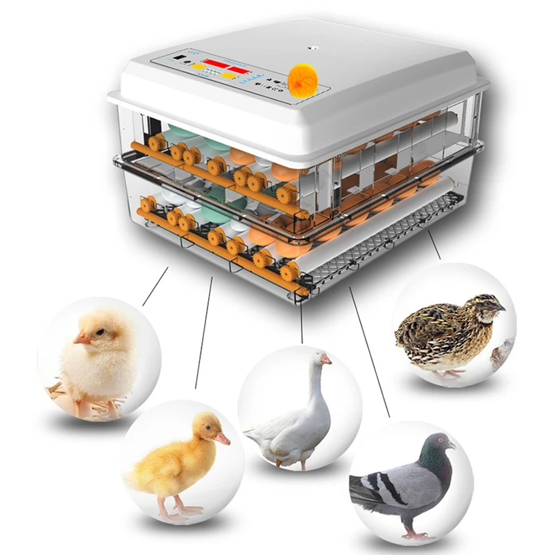 Питание будущего цыпленка. Инкубатор мини-Брудер. Инкубатор для яиц Egg incubator QC Pass 04. Инкубатор Mini Egg wz12 - 12v автоматический. Инкубатор New Life для перепелов 200яиц.