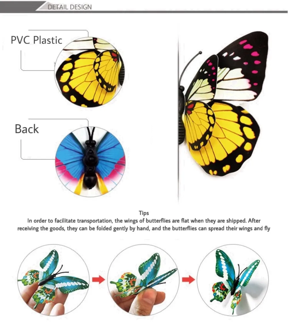 IMG_0395(20200831-151008)