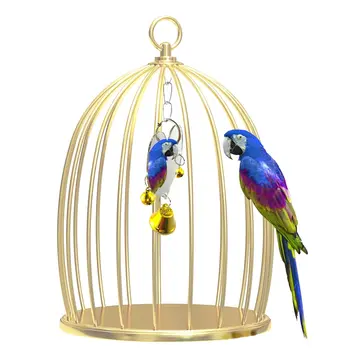 

8 style Pet Toy Mirror Fun Toy For Cockatiel Parrots Small Birds Parrot Toys Pet Parrots Climb Accessories New