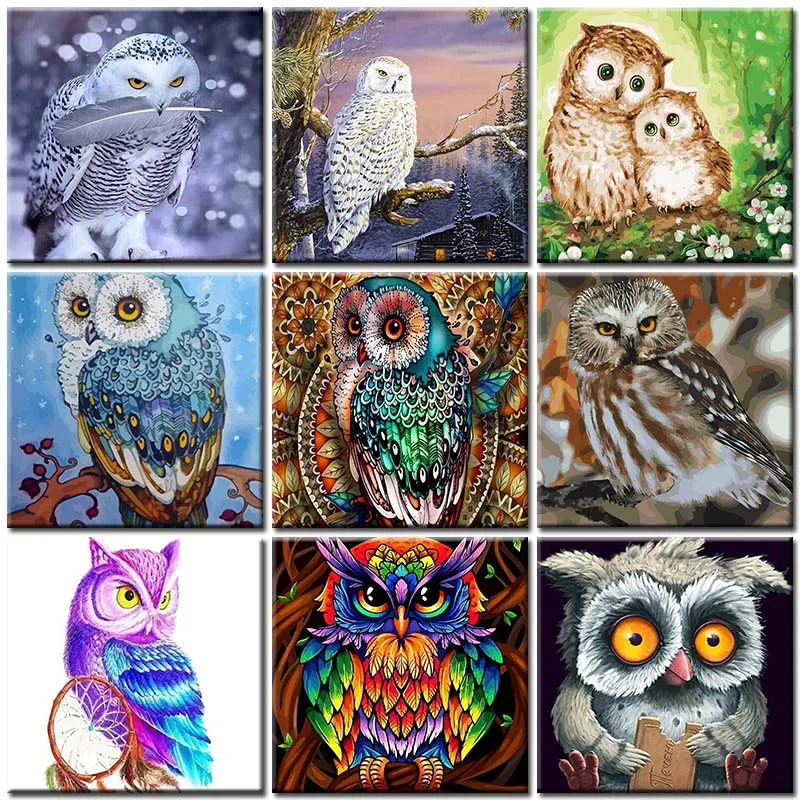 Cute Owl - Diamond Painting - Paint Vibe