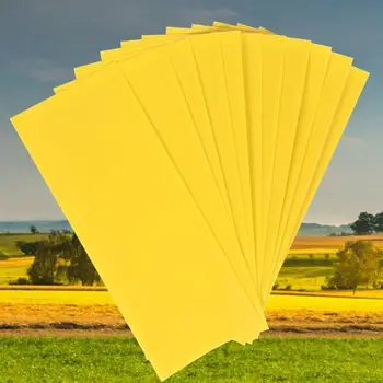 

10PCS Sticky Glue Paper for Mosquito Lamp Strong Flies Insect Killer Trap Catcher Killer Fly Aphids Wasp Home Outdoor Garden Too