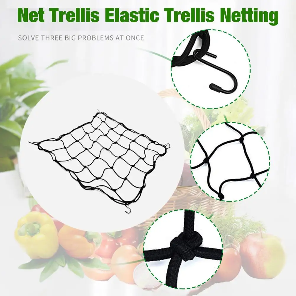 Wachsen Zelt Netting Anlage Wachsen Zelt Spalier Net Growbox Elastische  Gummi Garten Spalier Net Für Gemüse Klettern Reben Anlage - AliExpress