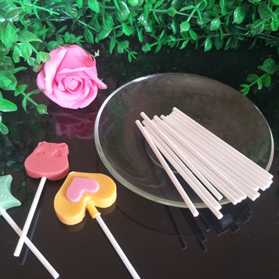 lollipop sticks (12)