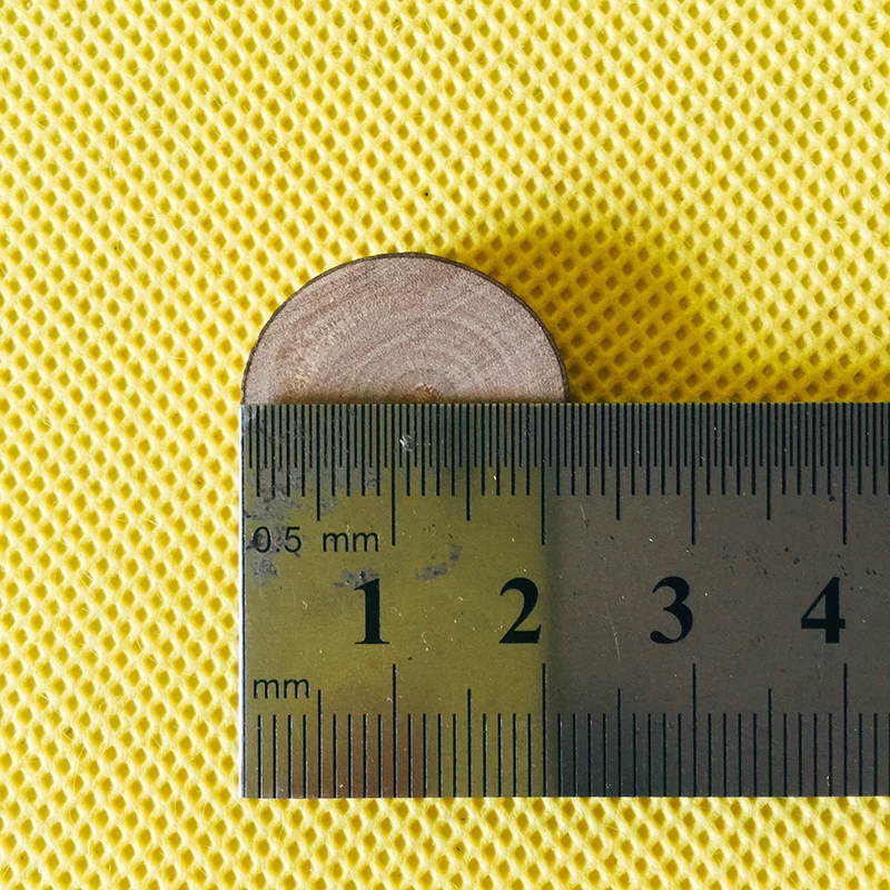 5 pcs 2 to 3cm 5 шт. реальные листы бревен/деревянная подставка/для сказочного сада/террариума/Бонсай/diy принадлежности/игрушки/модели - Цвет: 5 pcs 2 to 3cm