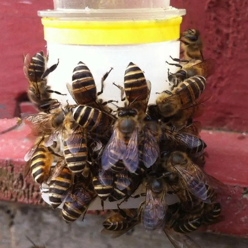Bees Drinking Fountains Nest Door Feeders Beehive Box Septum Beekeeping 20 Pcs 