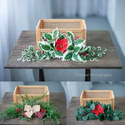 Coconut newborn Photography Prop festival Christmas Spring Festival childrensimulation green plants flowers festival collocation