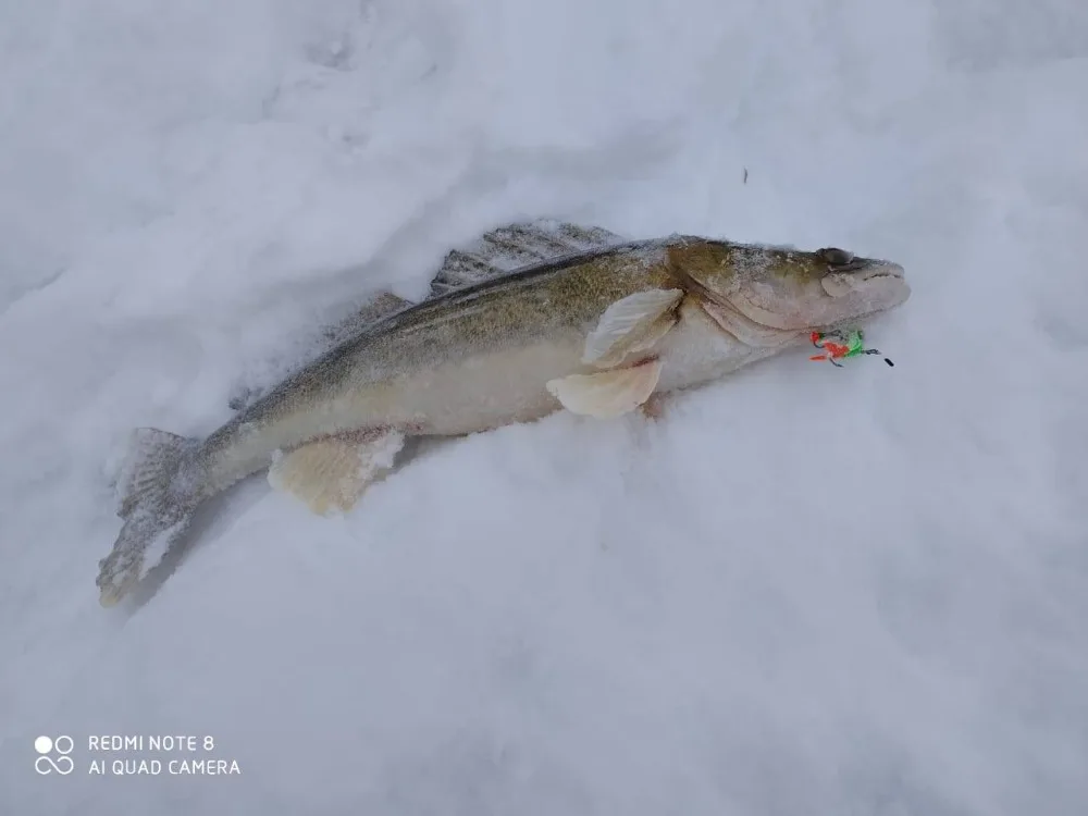 U3fe9936e92664fa9b7506405c3fc1a063