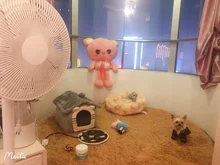 Bed-Mat Basket Kennel Sofa Dog-House Cat-Nest Puppy Cave Foldable Small Chihuahua Pet-Products