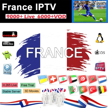 

Franse IPTV m3u subscription 1000 + live & VOD Europa france spanish italia sweden Germany portugal android TV box Smart TV box