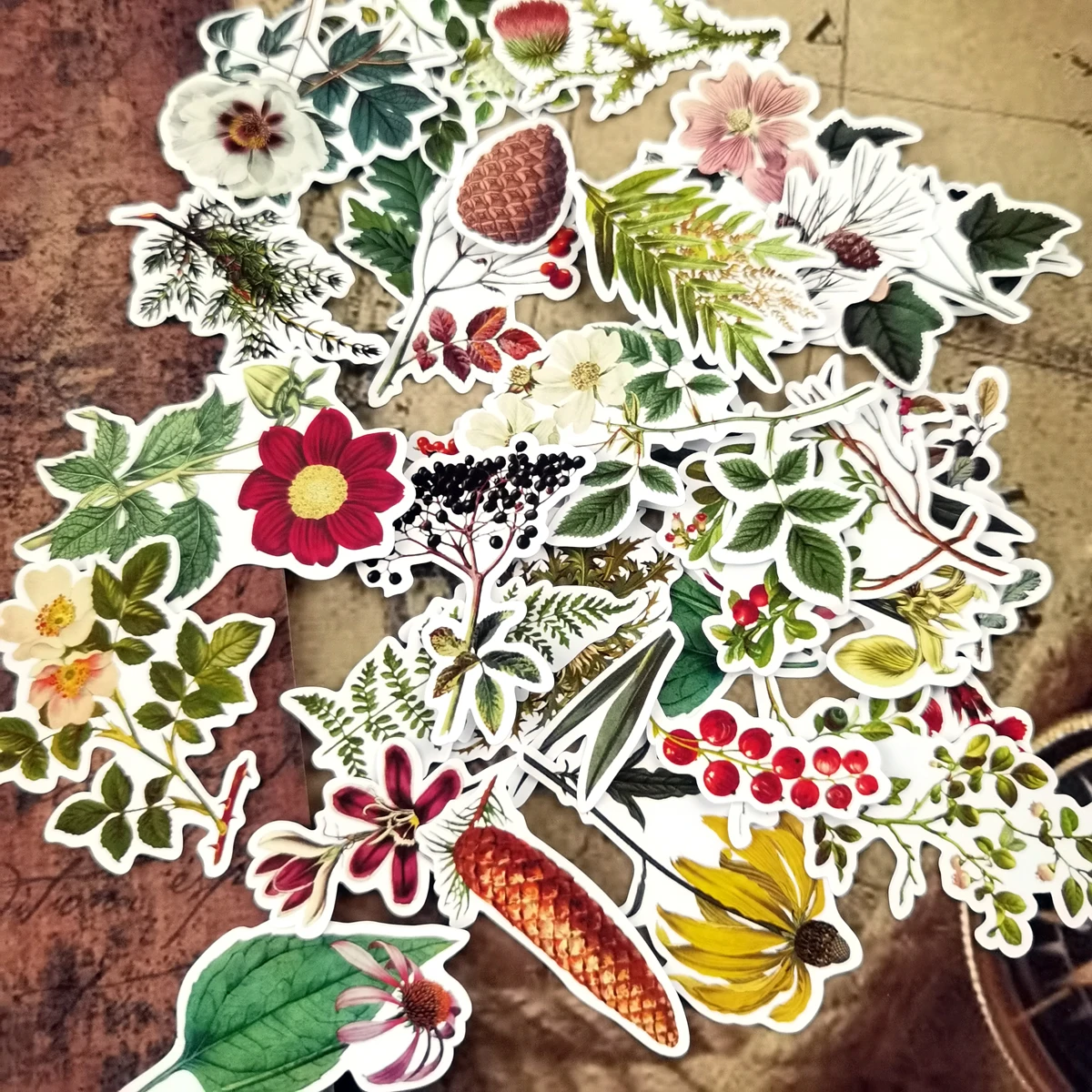 

31pcs Hand Drawing Plant and flower sticker Creative cute self-made scrapbooking s /decorative DIY notebook
