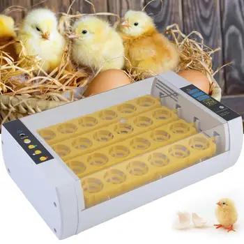 

(Spain) Fully Automatic 24 Eggs Brood Broiler Breeder Poultry Incubator Hatcher Machine Moisture Control With Egg Turner EU Plug