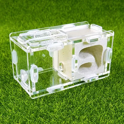 mini ants nest ant farm acrylic&gypsum for young queens and small colonies ants house ant home