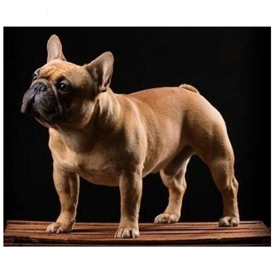 5d Diy Diamond Painting full Square round cross stitch French Bulldog Dog Diamond Embroidery Diamond Mosaic sale Home Decor_副本