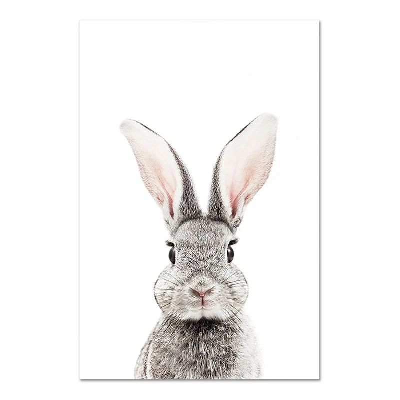 D331-4 Kawaii Baby Animal зебра и жираф кролик Холст плакат настенная живопись садик печать живопись скандинавский декор для детских комнат фотографии - Цвет: D331-4