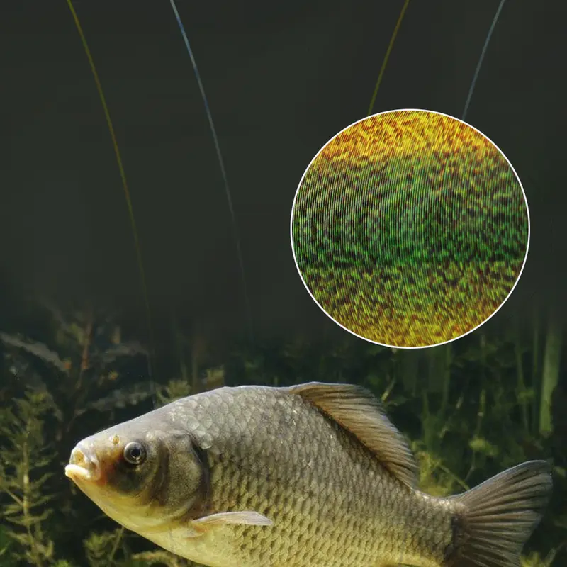 FTK 300/500m Invisible Fishing Line Speckle Fluorocarbon Coating Line 0.20mm-0.50mm 4.13LB-34.32LB Super Strong Spotted Line - Image 4