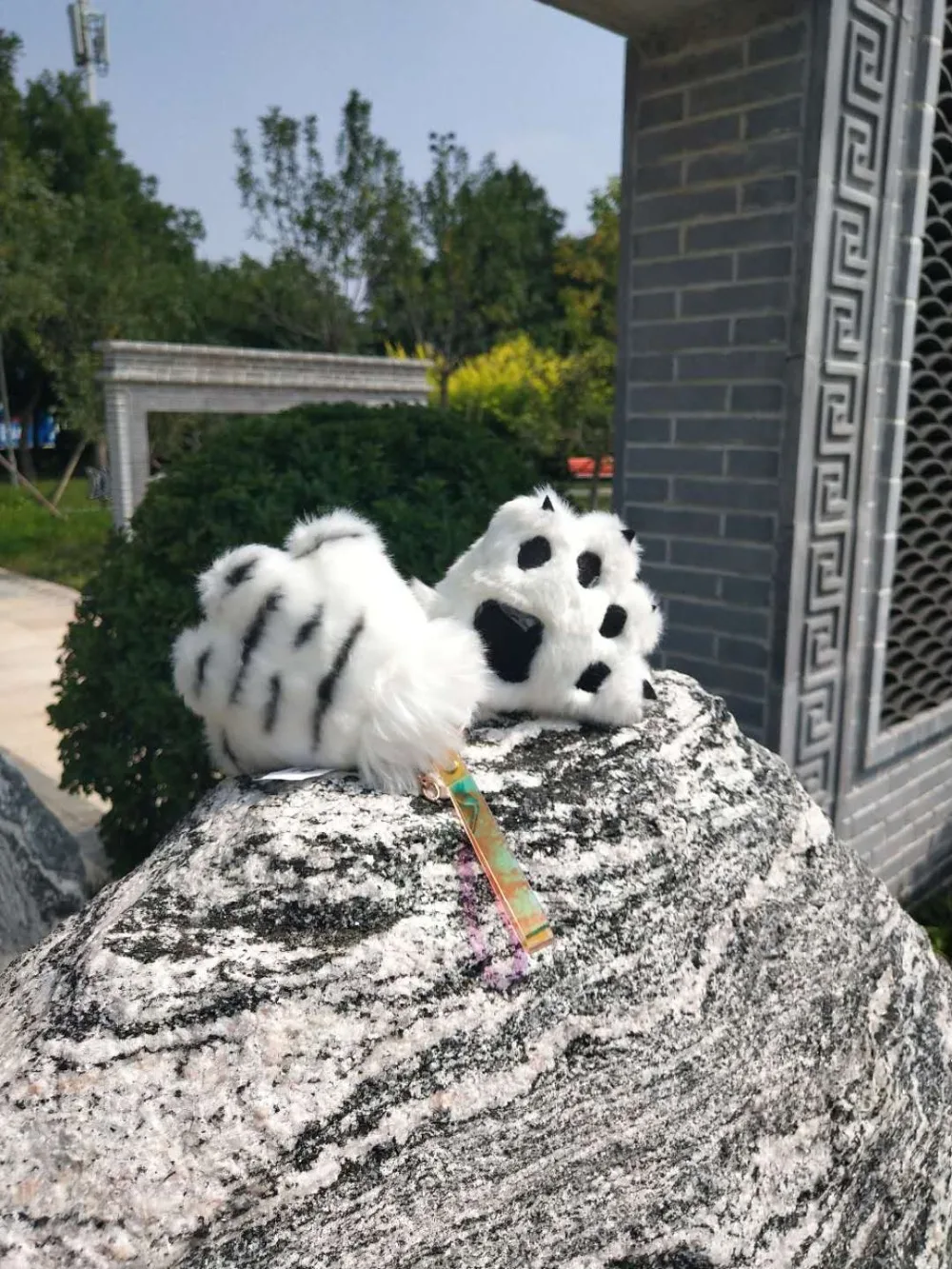 IMG_8561(20200828-151804)