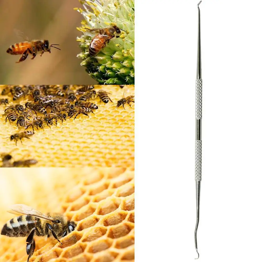 Игла для пчеловодства Queen Rearing инструмент прививания из нержавеющей стали с
