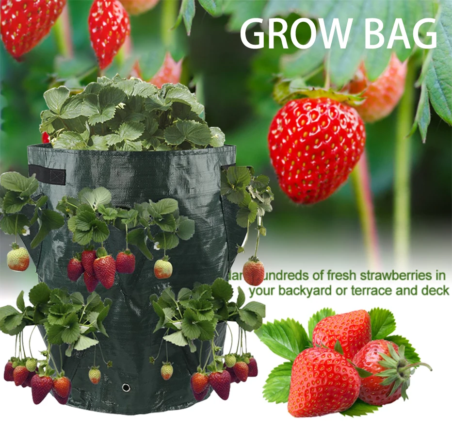 hanging plant pots Multi-Mouth Grow Bag 5/7/10 Gallons Strawberry Tomato Planting Bags Reusable Gardens Balconies Flower Herb Planter large plant pots outdoor