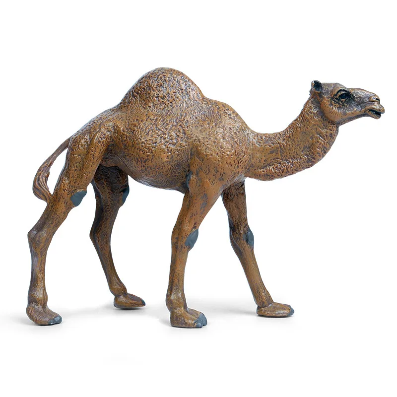 

Children's Wild animal model Big One-humped camel Static model Toys for children Collecting gifts Toy model