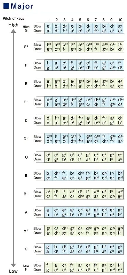61XM5eg-PpL._AC_SL1000_