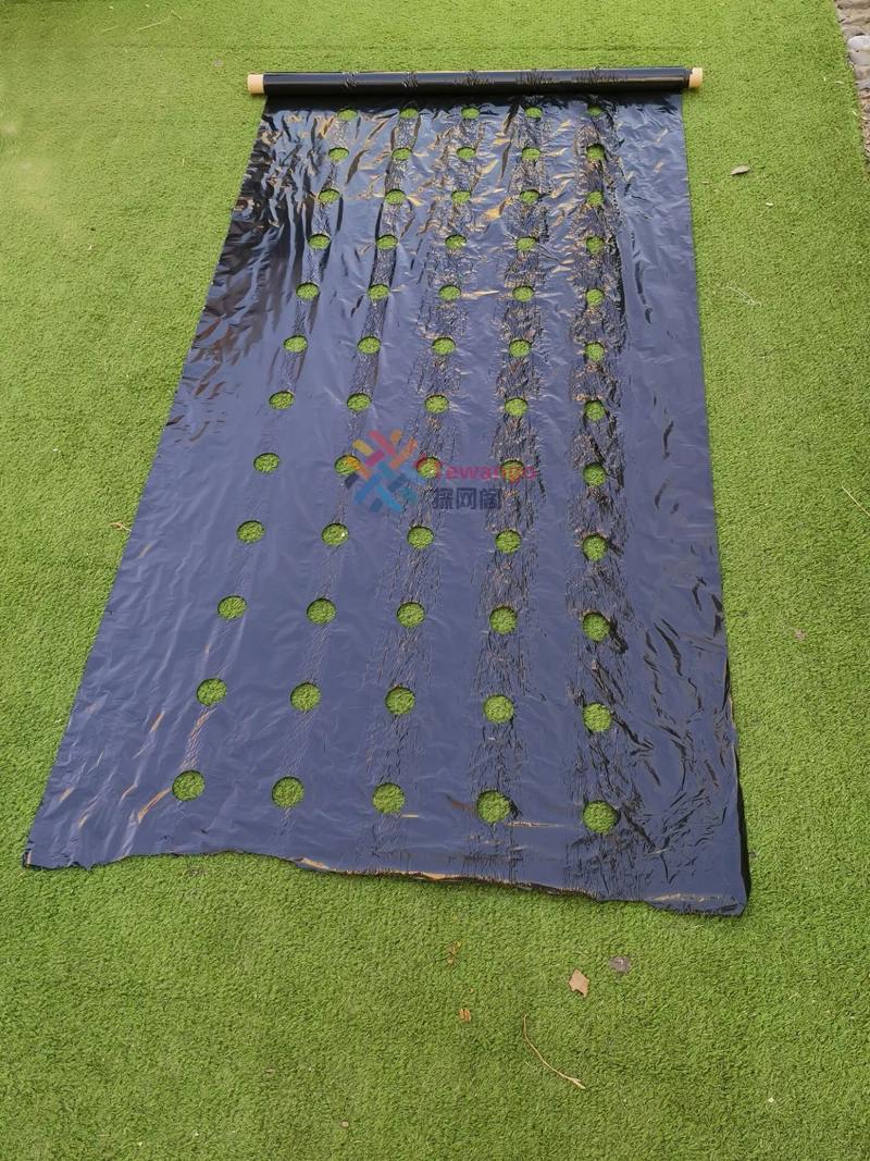 HTB1LxB3LIbpK1RjSZFyq6x_qFXaD