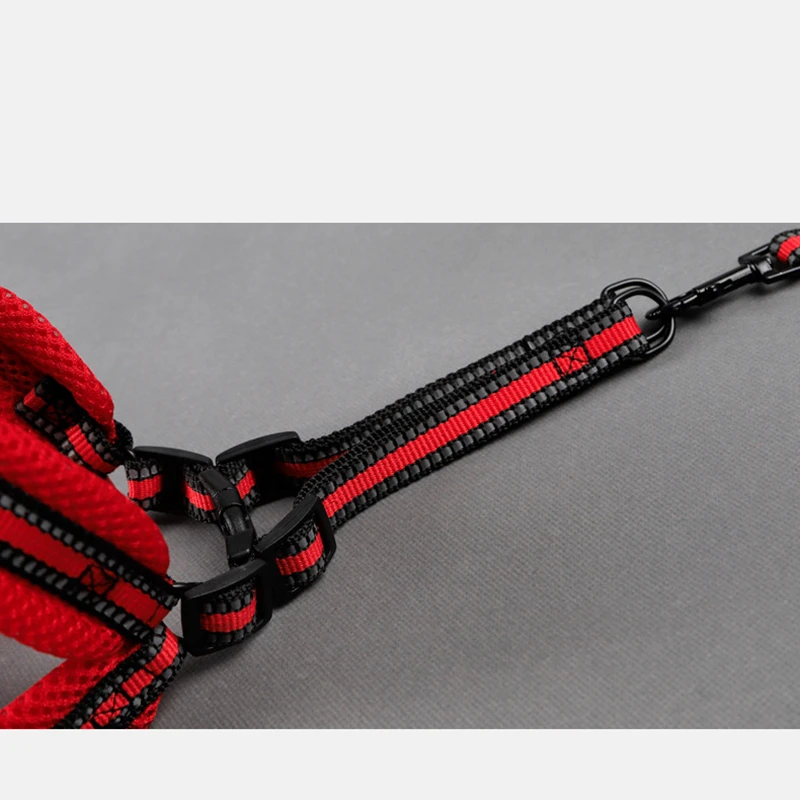 Cat Dog Adjustable Harness Vest Walking Leads For Puppy Dogs Kitten Cats Collar Polyester Mesh Harness For Small Medium Dog Cat Cat Dog Adjustable Harness Vest Walking Leads For Puppy Dogs Kitten Cats Collar Polyester Mesh Harness For Small Medium Dog Cat