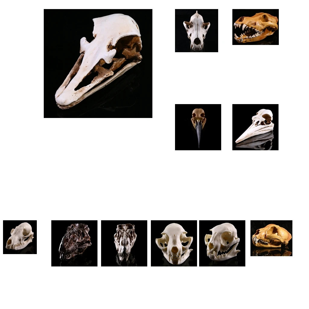 Resin Aquarium Ornaments Skull Fish Tank Reptile Terrarium Decorative Crafts