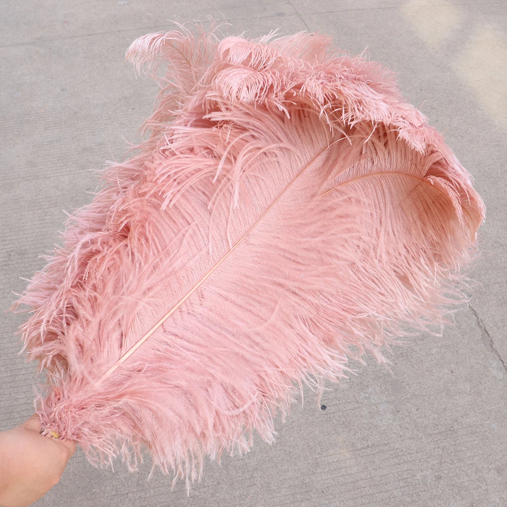 TS0165025 65-70cm ostrich feathers 2