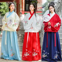 Женский Hanfu Традиционный китайский древний народный танцевальный костюм праздничный наряд Мин Цин вышивка принцесса фея платье набор DL4993