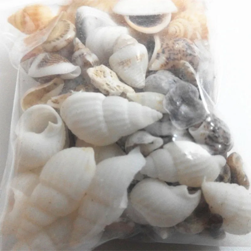 

40pcs Beautiful Beach Mixed Sea Shell Real Sea Shell Mix Sea Shell Starfishes Shells Craft SeaShell Aquarium Decal Decor Crafts