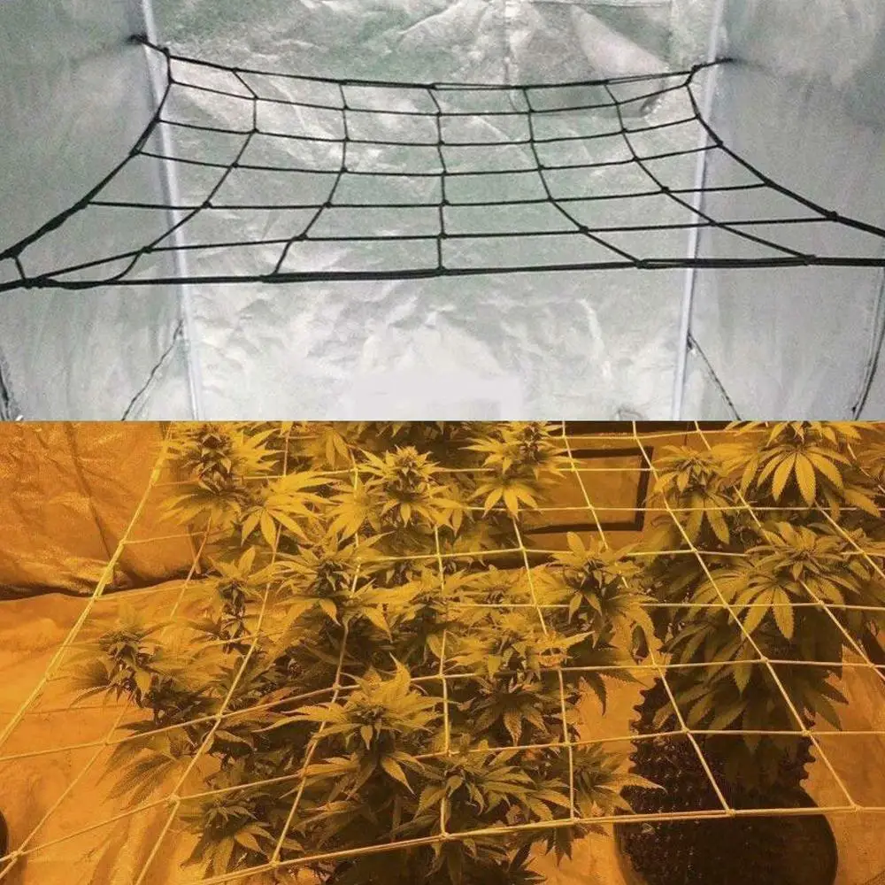 

80*80cm Elastic Rubber Growing Tent Garden Trellis Net Support for Vegetable Climbing Vine Plants Garden Flower Plant Netting