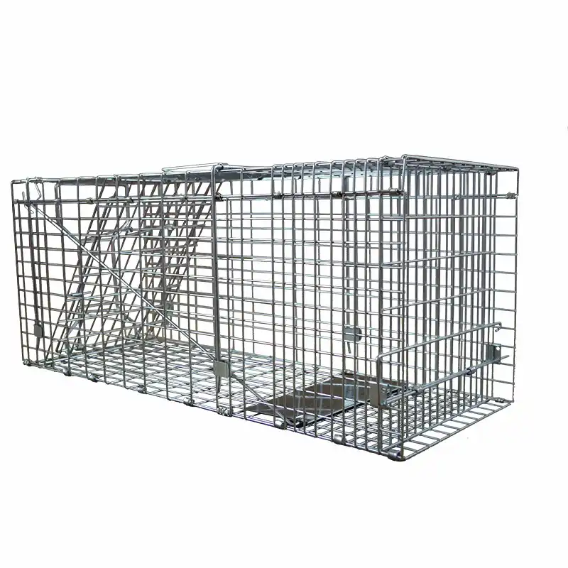 Super Buyuk Alici Kedi Coypu Tuzaklari Yem Yapis Tutucu Katlanabilir Kullanimlik Kurtarma Kafesi Fare Kapani Avi Cakal Vahsi Kedi Fare Kafesi Cat Crates Cages Aliexpress