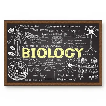 

Biology Chalk Drug Structure Text Bathroom Non-slip Doormat Bathroom Accessories Living Room Kitchen Doormat