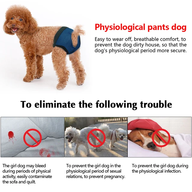 Soft Dog Diaper Pant Reusable Physiological Pants Washable Female Male Dogs Shorts Absorbent Pets Underwear Sanitary Panties 6