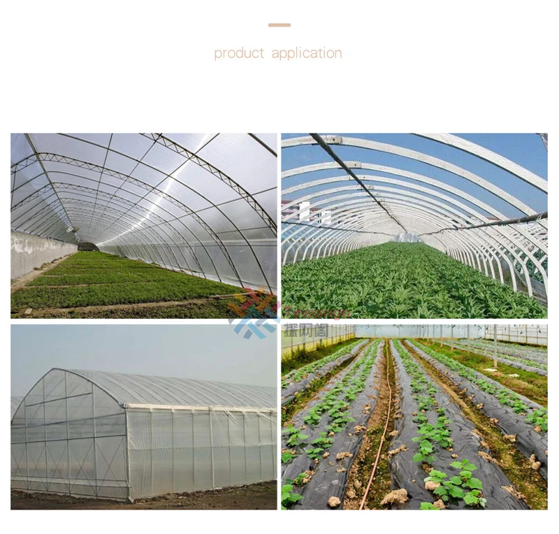 HTB1zN3kXEzrK1RjSspmq6AOdFXa1