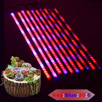 

10PCS 50CM LED Plant Grow Rigid Strip High brightness Hydroponic Bar Light Kit SMD5730 Red:Blue 5:1 DC12V IP20/IP65