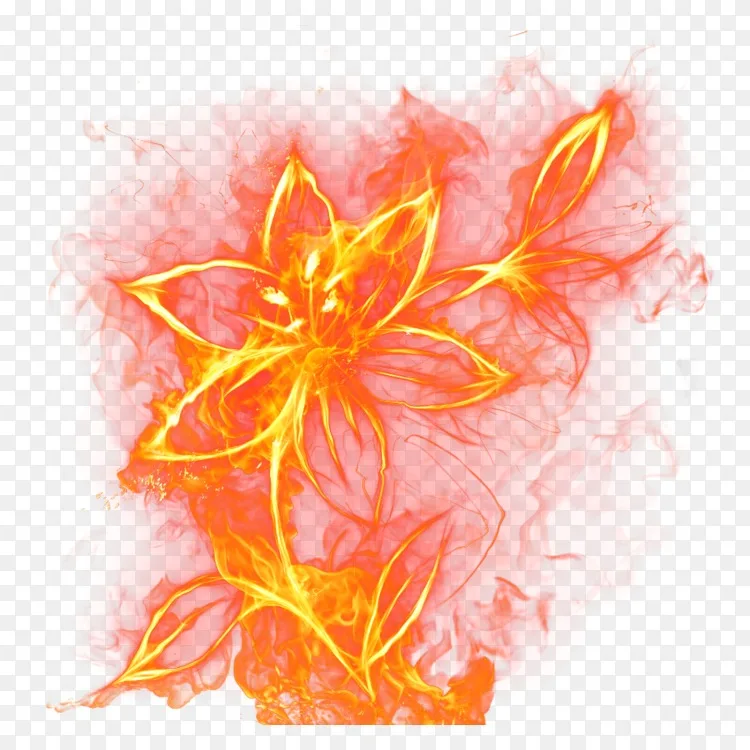 花火玫瑰火焰剪贴画 花png图片素材免费下载 图片编号 Png素材网