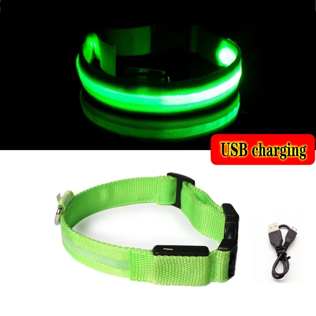 USB charging LED dog light pet dog collar anti-lost at night/avoid cat and dog puppies car accident flashing luminous collar Green USB charging