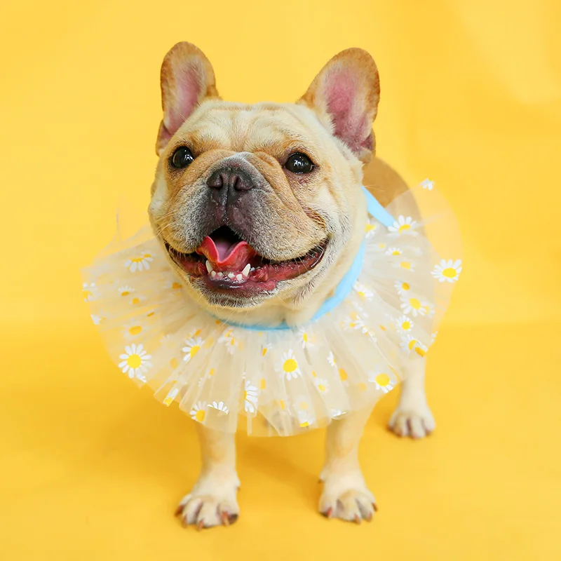 雏菊纱围嘴_0196