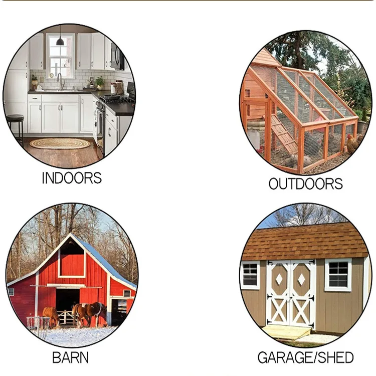 33319b061e22fc22e877a1066cebbd