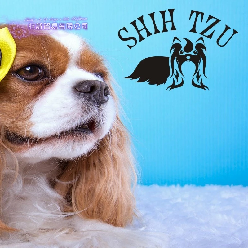Наклейка с переключателем SHIH TZU наклейка для зоомагазина плакаты виниловые