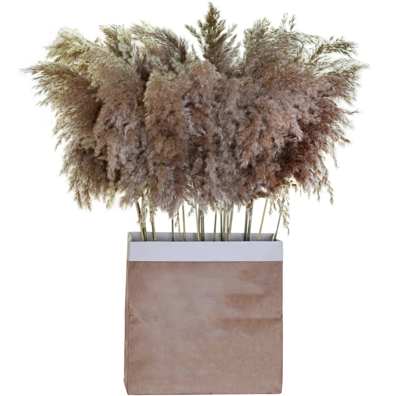 O1CN01vXpjsQ1HgUIs0PX38_!!921450787