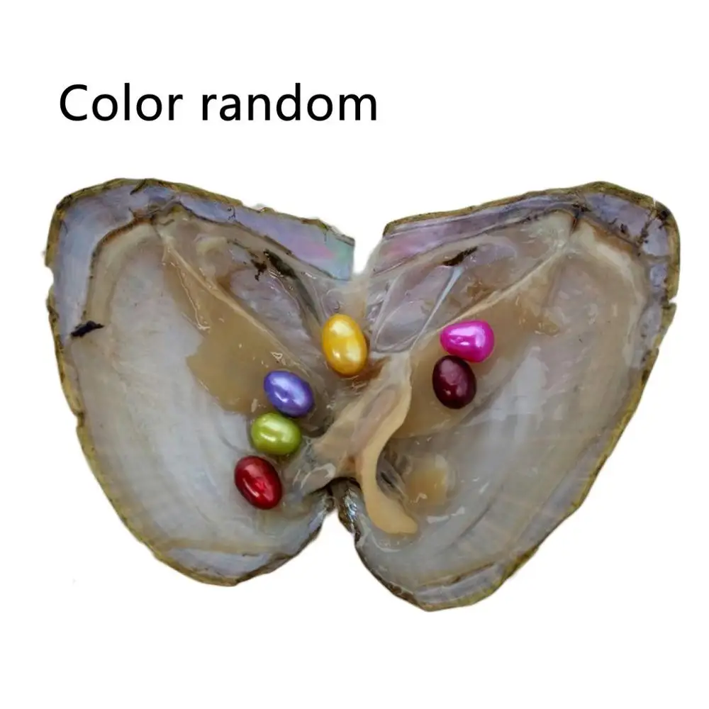 Горячая вакуумная ракушка из жемчуга Oyster с 6 жемчужинами внутри пресноводный жемчуг таинственный Сюрприз подарок для друзей - Цвет: multicolor