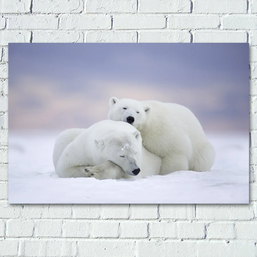 Ours Polaire Sur Une Plage Qui Cache Quelque Chose Affiches Sur Toile Avec Ours Polaire Arctique, Imprimés D'animaux,  Peintures Artistiques Murales Avec Cadre Pour Décor De Salon, Diy Bricolage  - Peinture Et Calligraphie - AliExpress