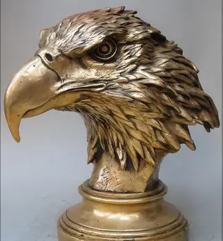 

zm 15"CHINA Sino Brass ART Statue bird Eagle Head black-eared kite hawk bust