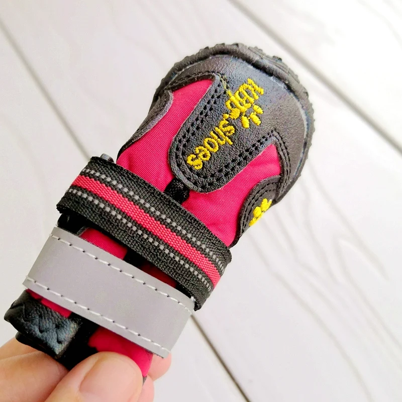 微信图片_20191001135301