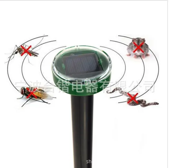 4262963563_2003867393